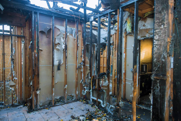 Professional Fire Damage Removal technician working in Little Flock, AR